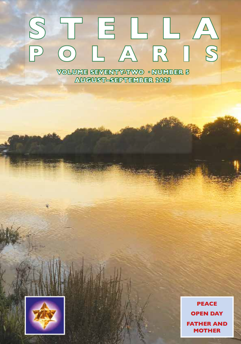 Two tall trees left and right with gate at centre