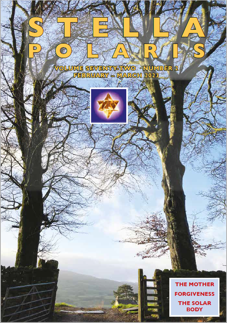 Two tall trees left and right with gate at centre