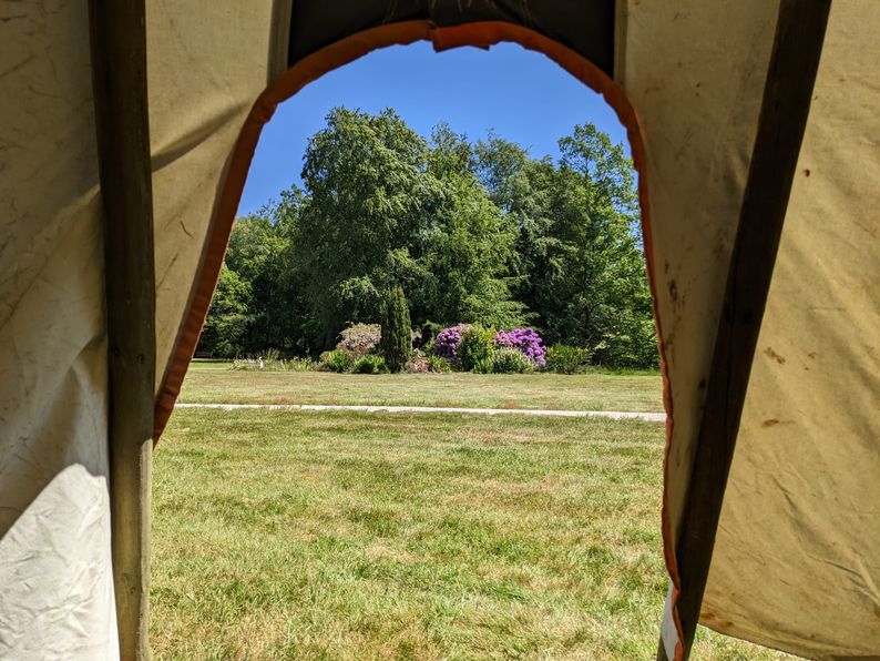 A view looking out from inside the tipi to trees and grass