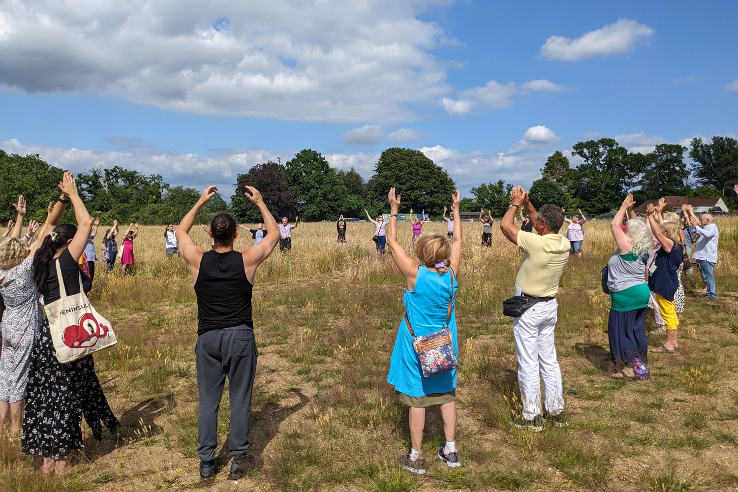 Midsummer and Earth Healing Day Success! | White Eagle Lodge
